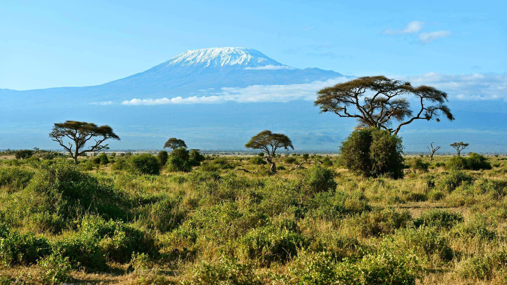 kilimanjaro cultivation zone